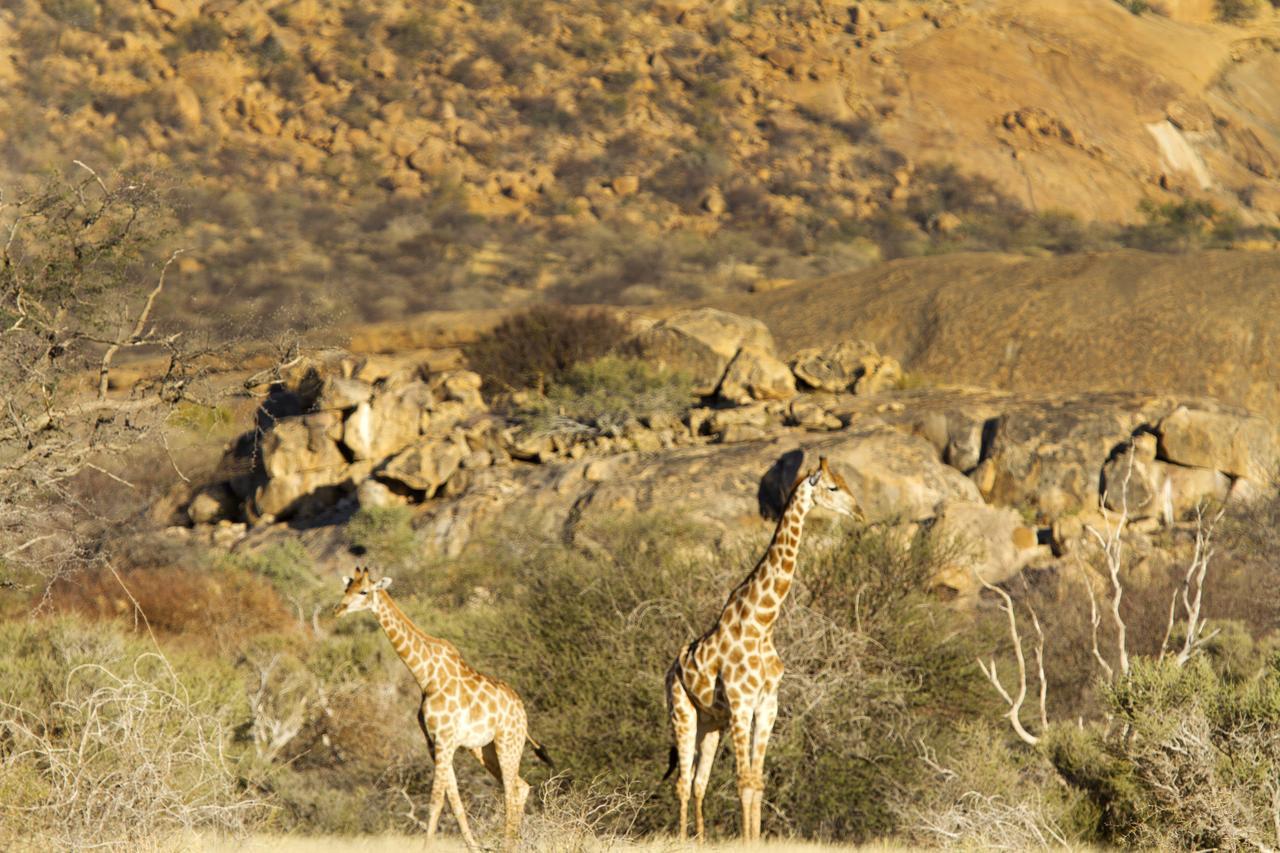 Ai Aiba - The Rock Painting Lodge Omaruru Exterior foto
